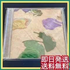 緑黄色社会『サマータイムシンデレラ』『マジックアワー』結婚式BGM リョクシャカ