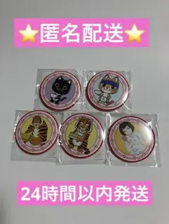 ラーメン赤猫　セガラッキーくじ　缶バッジ　5点セット　未開封品