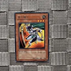 遊戯王【隼の騎士】