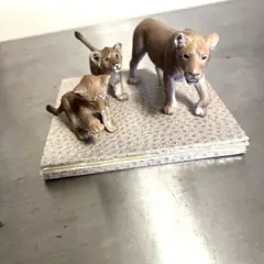 シュライヒ　ライオン親子　3体