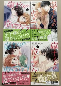 嵐士くんの抱きまくら1〜4巻セット