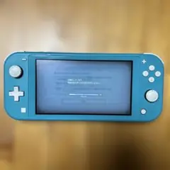 Nintendo Switch Lite ターコイズ　充電器付き