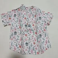 サンサカエプチ　シャツ