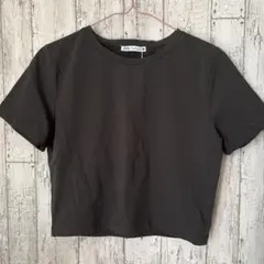 【ZARA】新品　半袖Tシャツ Lサイズ　グレー