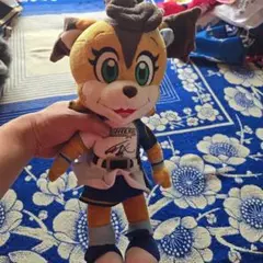 ポラリス ぬいぐるみ 約30cm