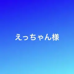 ⭐︎えっちゃん様　専用です☆