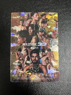RIZINポテトスティック ポスターカードコレクション 13 RIZIN.33