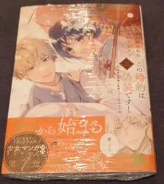この婚約は偽装です! 3
