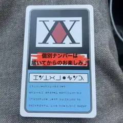 HUNTER×HUNTER ハンターハンター ライセンスカード　リアル脱出ゲーム