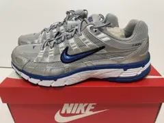 NIKE W P 6000 シルバー28.5