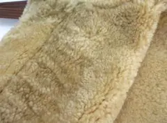 Item thumbnail for item 9222f576-b62f-4b1b-a951-cbab83d2a23a