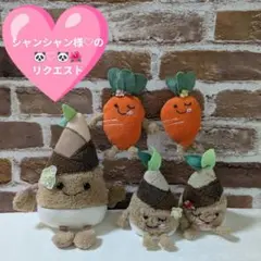 シャンシャン様のにさいシャンちゃん♡たちからのリクエストペロシャン
