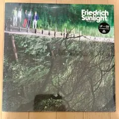 FRIEDRICH SUNLIGHT FRIEDRICH SUNLIGHT