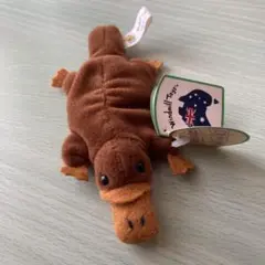 オーストラリア ウィンドミルトイズ Beanz Magnet カモノハシ