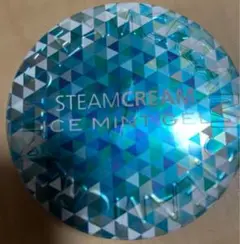 STEAMCREAM アイスミント ジェル 75g