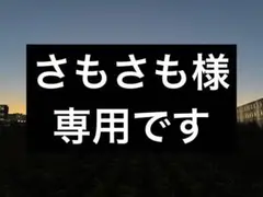 エリクシール シュペリエル エンリッチド リンクルクリームS 15g