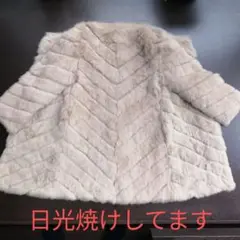 グーコミューン、ラビットコート