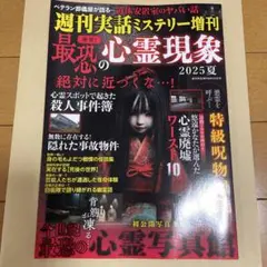 週刊実話ミステリー増刊　発禁！最恐の心霊現象　2025 夏