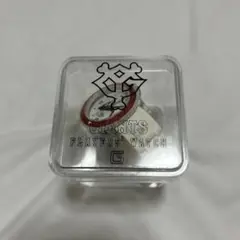 Item thumbnail for item cf8e8357-9265-47ad-bd88-298c5cbbc6ea