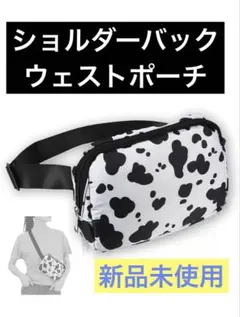 【小型ショルダーバッグ】 撥水 斜めがけ ボディバッグ 財布 旅行 お出かけ