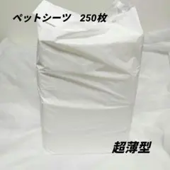 Item thumbnail for item c627e1ca-e441-4811-9279-747726874961