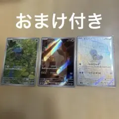 フシギダネ　ヒトカゲ　ゼニガメ　AR