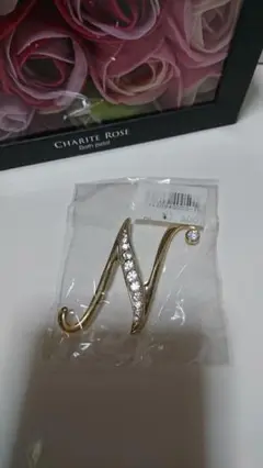 ブローチ イニシャル N