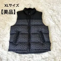 2025年最新】コーチ メンズ ダウンベスト・キルティングベストの