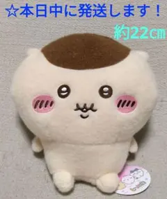 Item thumbnail for item 7f91b236-1823-4937-b0e5-861dbfe4c217