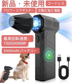 Item thumbnail for item d33c2cdb-e0f0-4a62-a537-c3e2fe5dc6aa