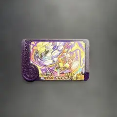 ポケモンフレンダ第5弾 タケルライコ 【1-5-004】