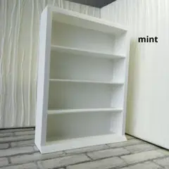 Item thumbnail for item 782cc76d-a8e2-43d4-bb9f-9d7b542a2999
