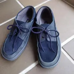 Item thumbnail for item 0b8fb0fb-74c0-4e1e-bddb-dc5ffa0a586f