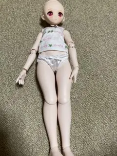 ドルフィードリーム mdd 2.0 セット