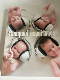 flumpool experience(完全数量限定盤)