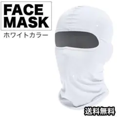 フェイスマスク バラクラバ 隠しきれないギラつく視線 紫外線花粉対策 マスク
