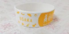 乃木坂46 真夏の全国ツアー2025 ラバーバンド 大阪ver