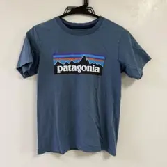 patagonia パタゴニア Tシャツ 100%オーガニックコットン