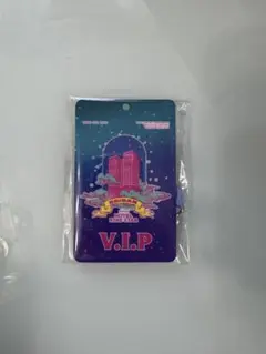 EBiDAN THE LIVE 2025 エビライ アプグレ VIPパス