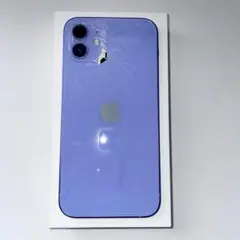 Item thumbnail for item ef60e4f0-a60b-456d-a2ac-6ef9b7c98bec