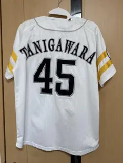 Item thumbnail for item 27758a84-107d-4175-97ef-c0ee599fbe4a