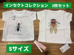 【未使用品】インセクトコレクションTシャツ