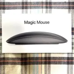 Item thumbnail for item 880073c7-0f8f-4f28-9999-23a28740043f