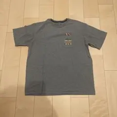 patagonia パタゴニアTシャツ L