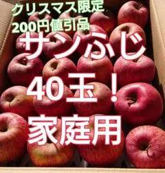 福島県産 特価!クリスマス限定 サンふじ ふじ りんご 林檎 家庭用 40玉