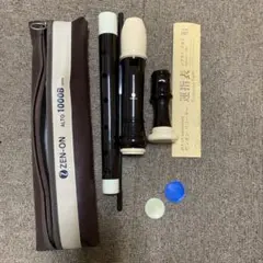 Item thumbnail for item 82311db1-0bfc-47b4-ae11-cdf429e2a20e