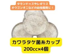 カワラタケ菌糸カップ 200cc 4個