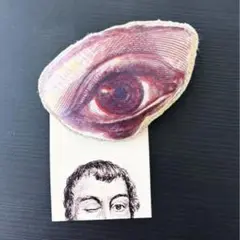 ヘルベントラボ デザインブローチ 目