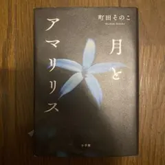月とアマリリス