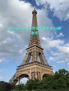 (12/26-1/7まで発送できません)様 専用